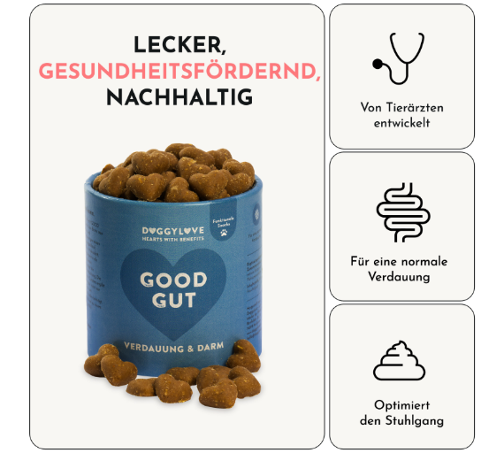 Hundesnacks Verdauung und Darm