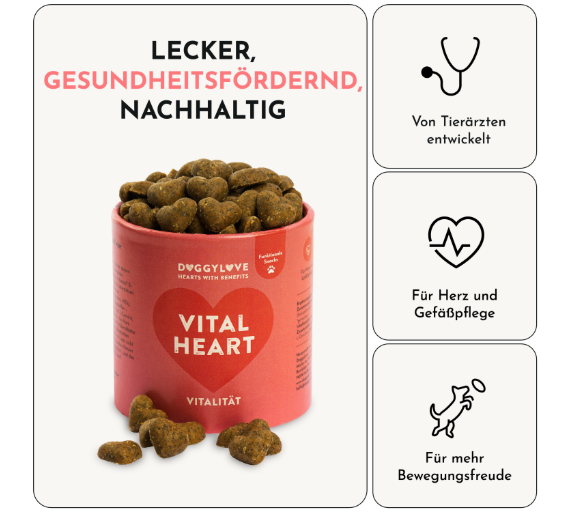 Hundesnacks Vitalität