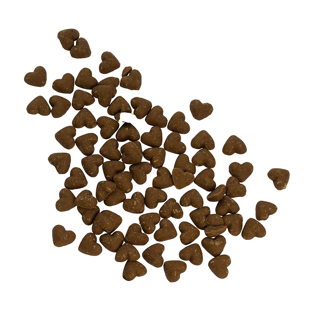 Hundesnacks Magen