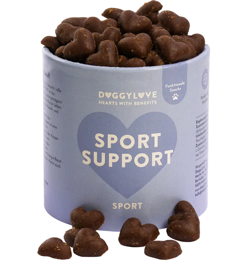 SPORT SUPPORT