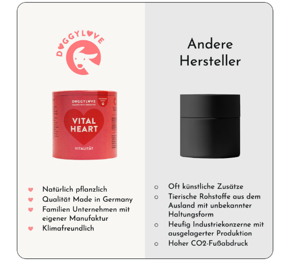 Hundesnacks Vitalität