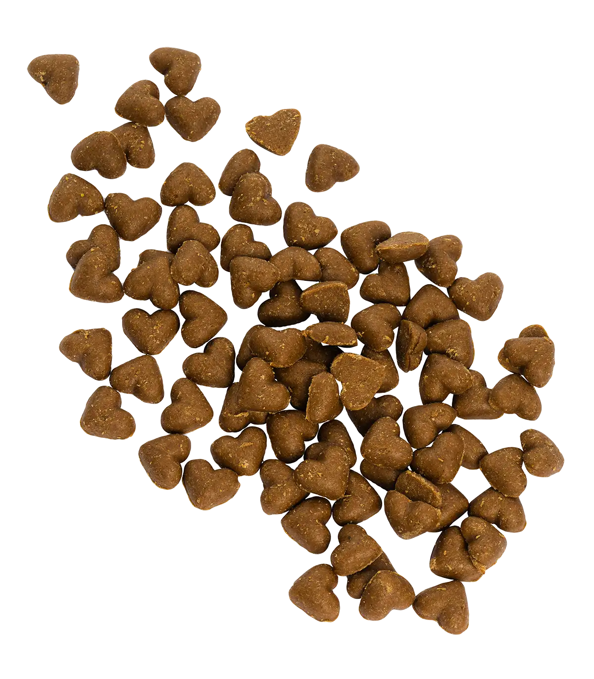 Hundesnacks Verdauung und Darm