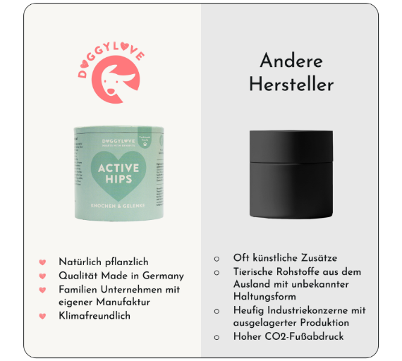 Hundesnacks Knochen & Gelenke