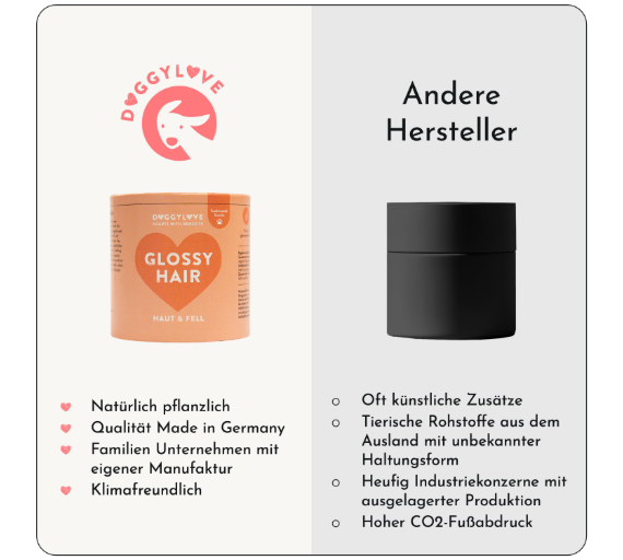 Hundesnacks Haut und Fell
