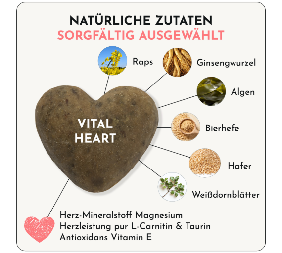 Hundesnacks Vitalität