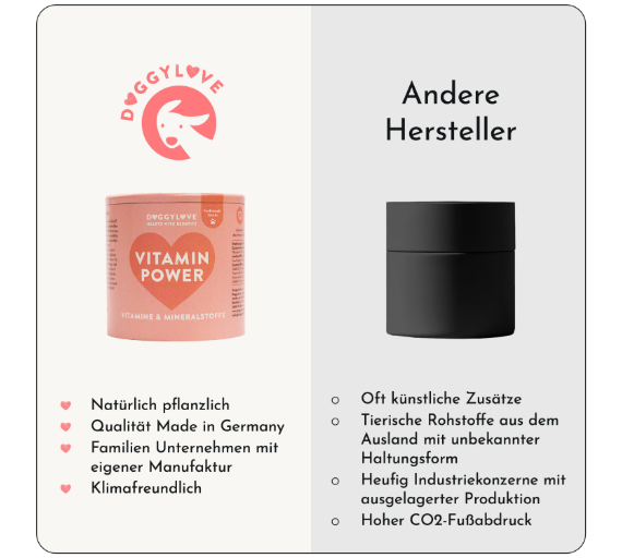 Hundesnacks Vitamine und Mineralstoffe