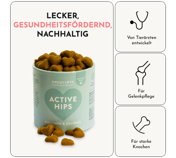 Hundesnacks Knochen & Gelenke