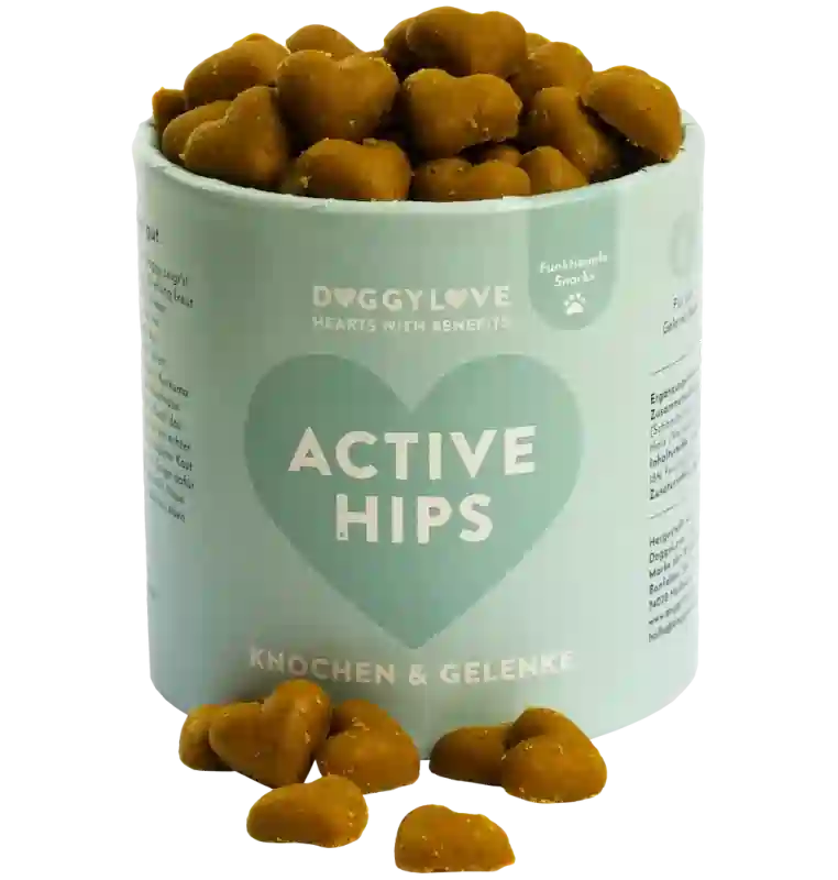 ACTIVE HIPS ACTIVE HIPS
