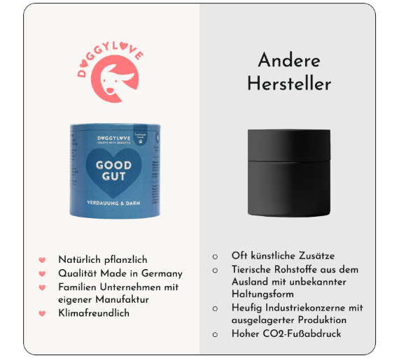 Hundesnacks Verdauung und Darm