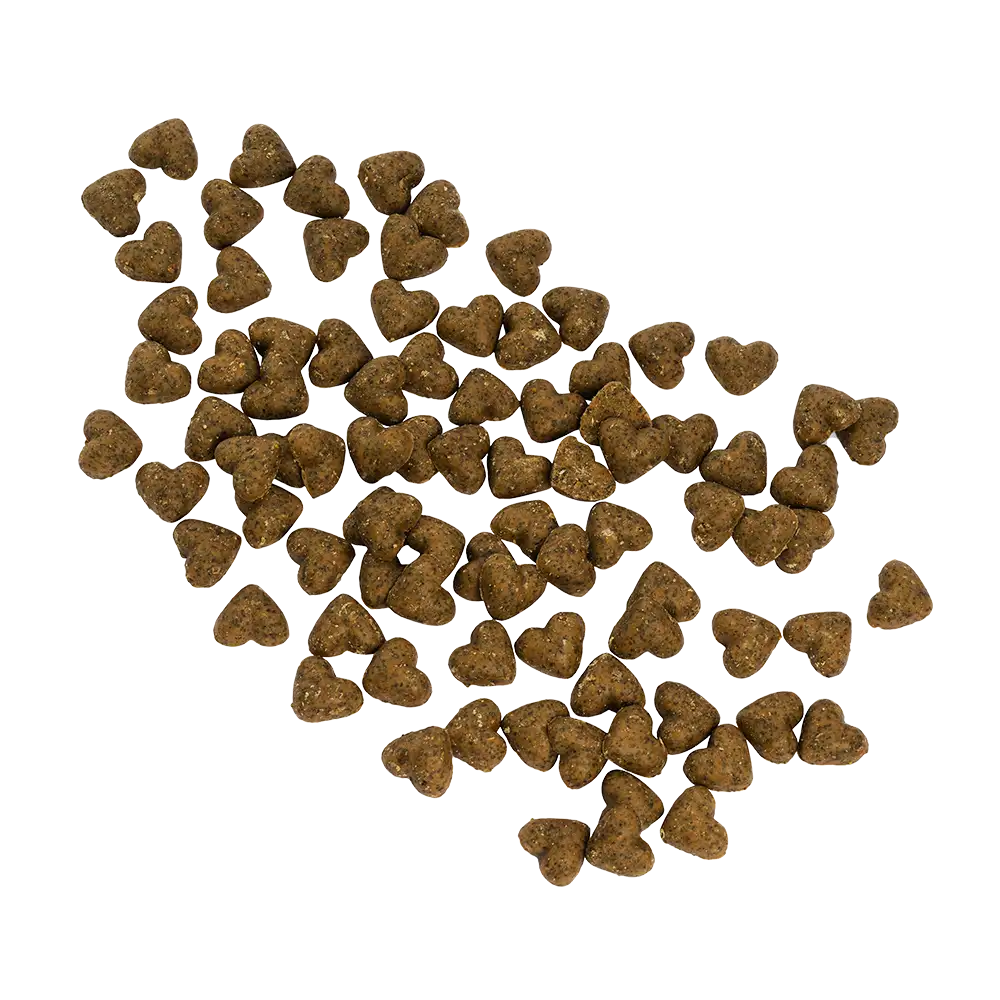 Hundesnacks Vitalität