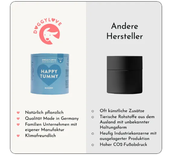 Hundesnacks Magen