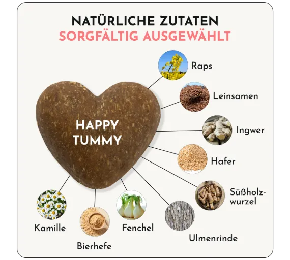 Hundesnacks Magen